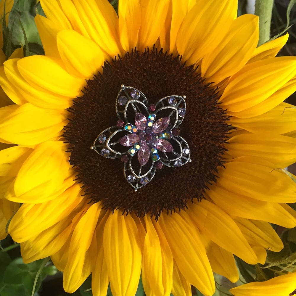Jeweled flower pin🌺